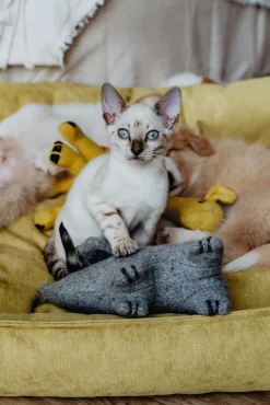 Hunter Eiby Giraf M - bamse til mellemstore hunde