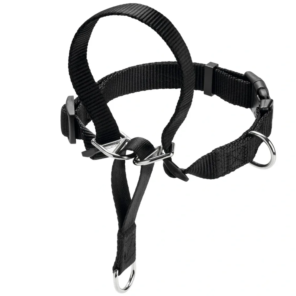 Hunter Follow Me snudesele til hund medium