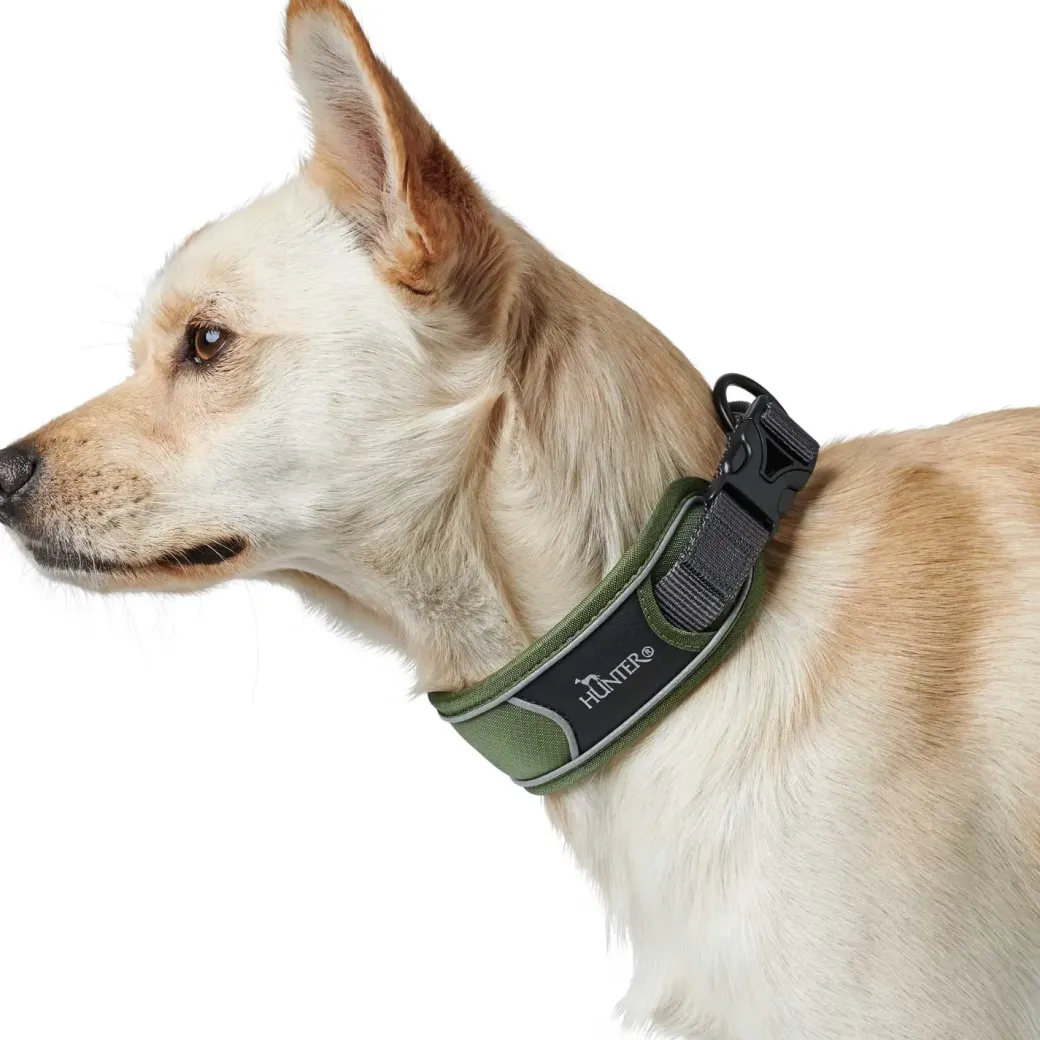 Hunter Halsbånd Divo XL Grøn/Grå - justerbart hundehalsbånd (55-65 cm, B 5,5 cm)