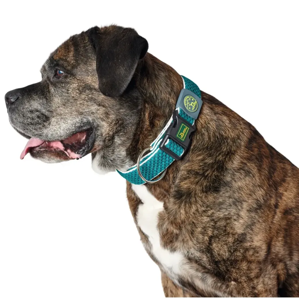 Hunter hunde halsbånd Hilo Turkis S-M - justerbart hundehalsbånd (30-43 cm, B 2,5 cm)