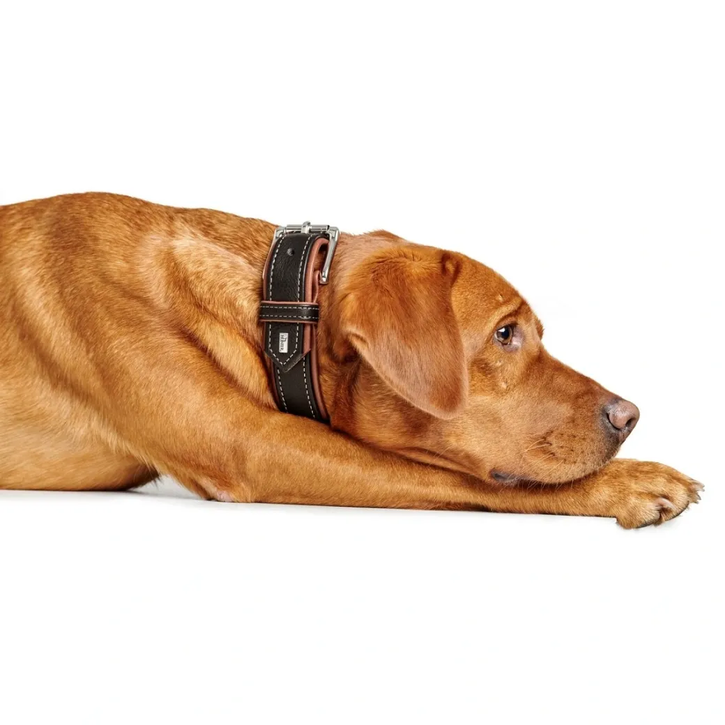 Hunter Hundehalsbånd læder Canada Elg Str.65 Sort/Cognac - 50-56 cm