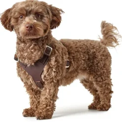 Hunter Hundesele Aalborg Mørkebrun XS - Bryst/Hals 38-52 cm