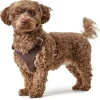 Hunter Hundesele Aalborg mørkebrun S-M/2 - Bryst/hals 51-64 cm