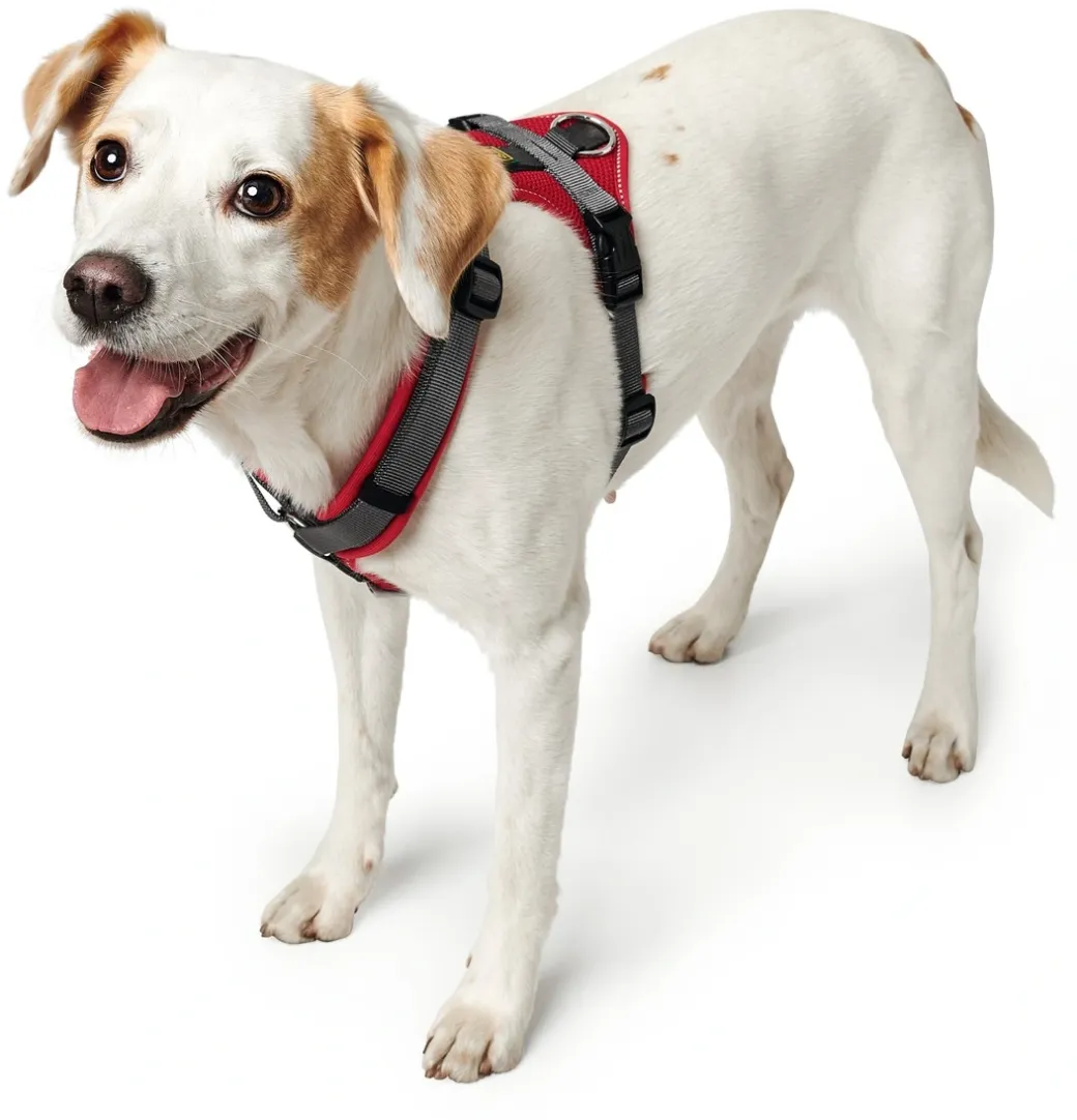 Hunter hundesele Maldon Rød og Grå S-M længde 46-82 cm 2,0 cm - fleksibel og stabil pasform