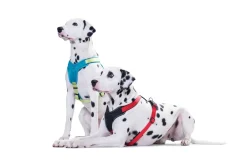 Hunter hundesele Neopren Rød XL længde 73-94 cm 2,5 cm - blød og stabil komfort