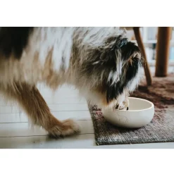 Hunter keramik Lund hunde skål 900 ml Beige