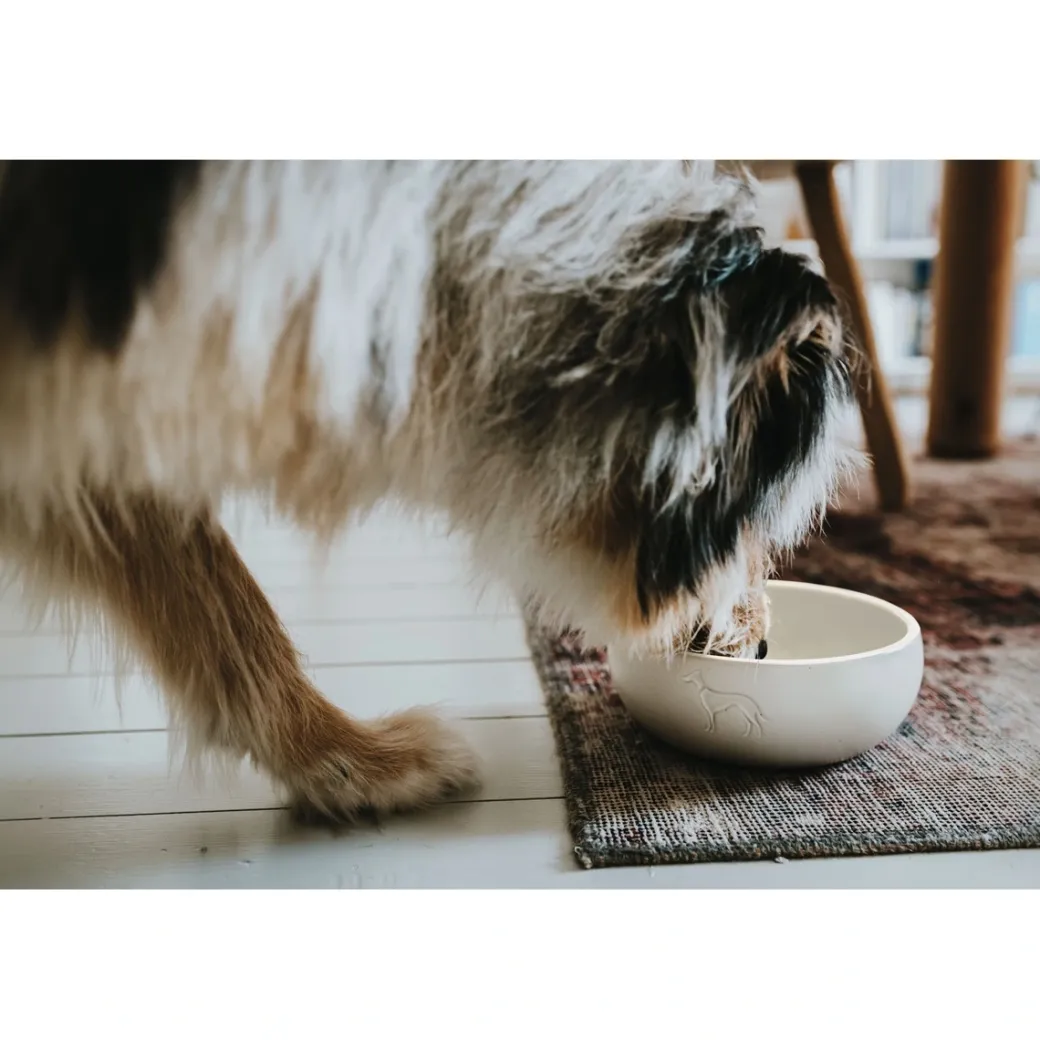 Hunter keramik Lund hunde skål 900 ml Beige