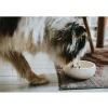 Hunter keramik Lund hunde skål 550 ml Beige