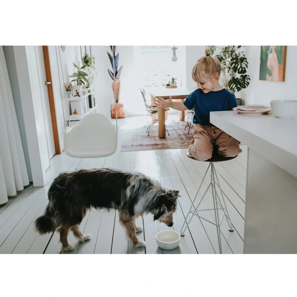 Hunter keramik Lund hunde skål 550 ml Beige