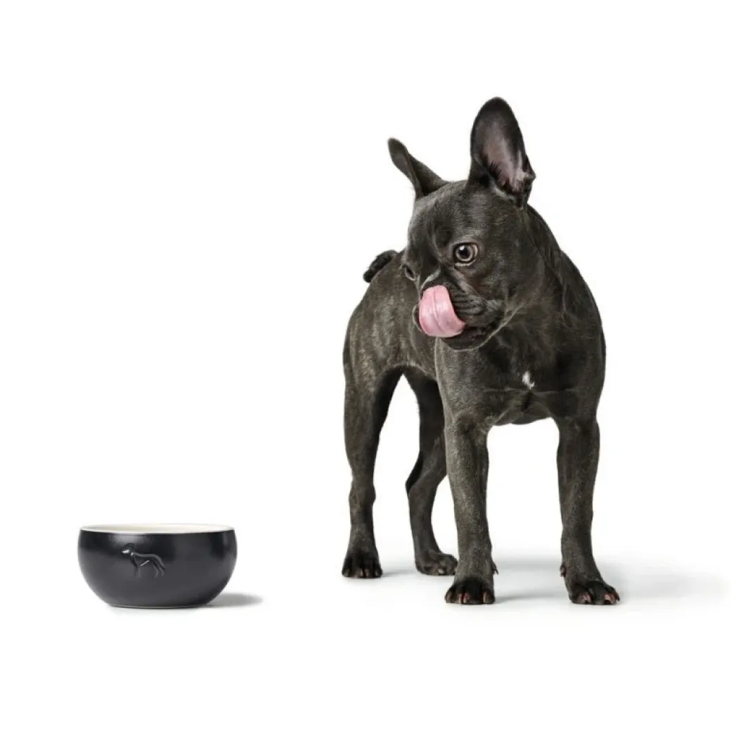 Hunter Keramik Lund Hunde Skål 550 ml Sort