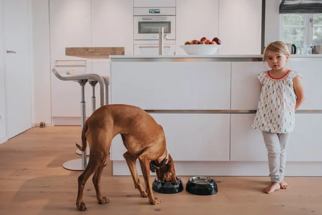 Hunter Melamine skål Kimberley sort 350 ml