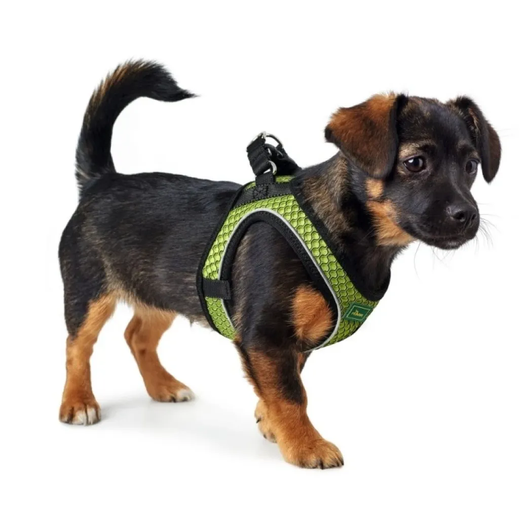 Hunter NY Hilo Comfort hundesele S lime mave/bryst 46-52 cm - Let komfort med stabil pasform