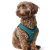 Hunter NY Hilo Comfort hundesele XXS turkis mave/bryst 31-33 cm - Ultralet komfort til små hunde