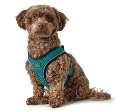 Hunter NY Hilo Comfort hundesele S turkis mave/bryst 46-52 cm - Let komfort og stabil pasform