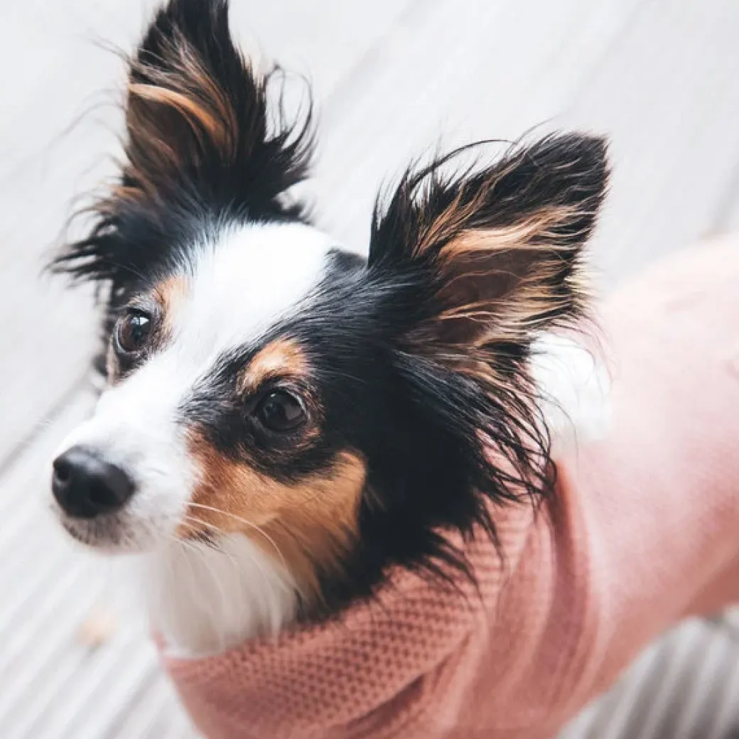 Hunter Röglatrøje 35 Rosa