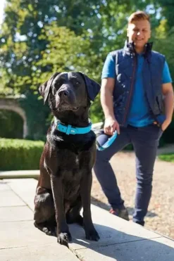 Hunter Softie hundehalsbånd 65 cm sort - 51-59 cm indstilling