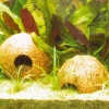 JBL Cocos Cava hule 1/1 (kokos medium)