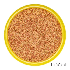 JBL ProNovo Color Grano S 100 ml