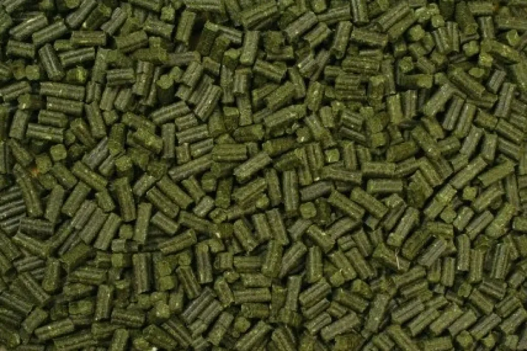 JR Farm Quad-bits Persille 300 gram