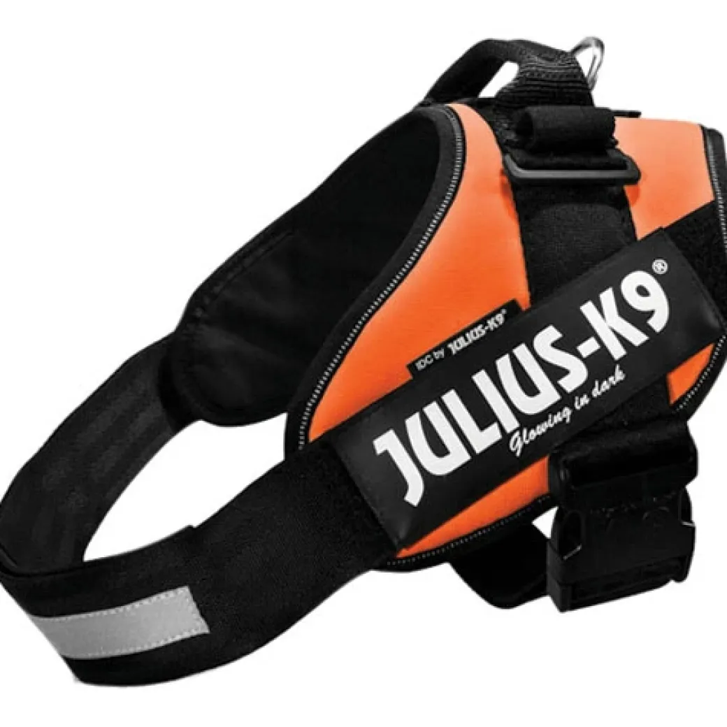 Julius K9 hundesele IDC Orange str 4