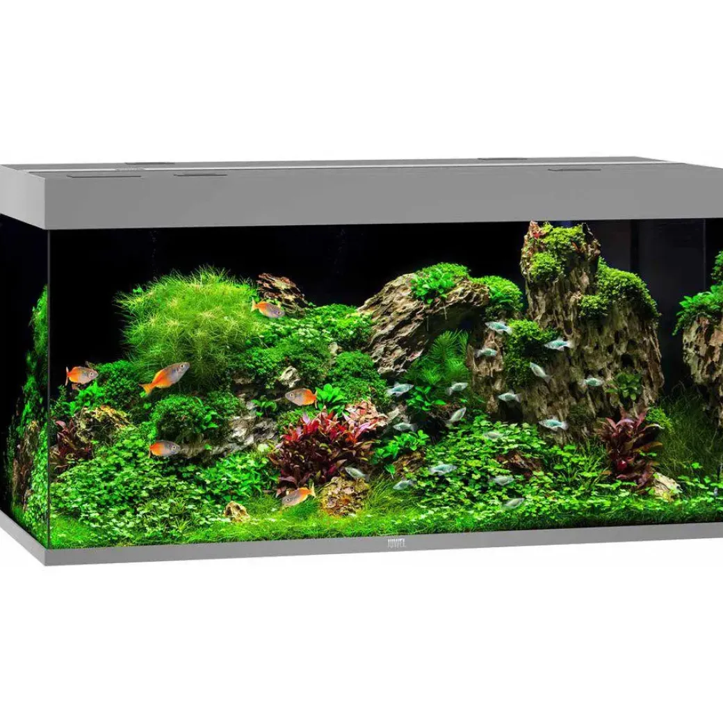 Juwel Akvarium Led Rio 350 Grå 121x51x66 cm 350 L