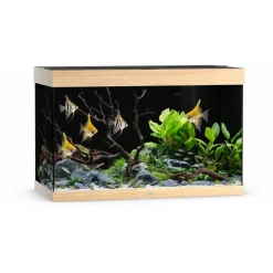 Juwel Akvarium Led Rio 290 Liter Eg