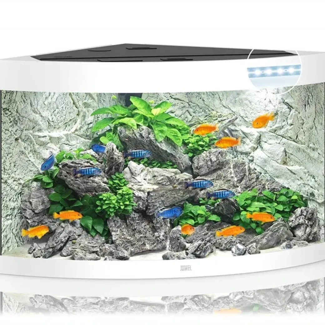 Juwel Trigon 190 L hvidt Aquarium