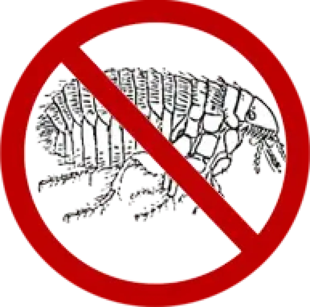 KW Loppeshampoo 500 ml