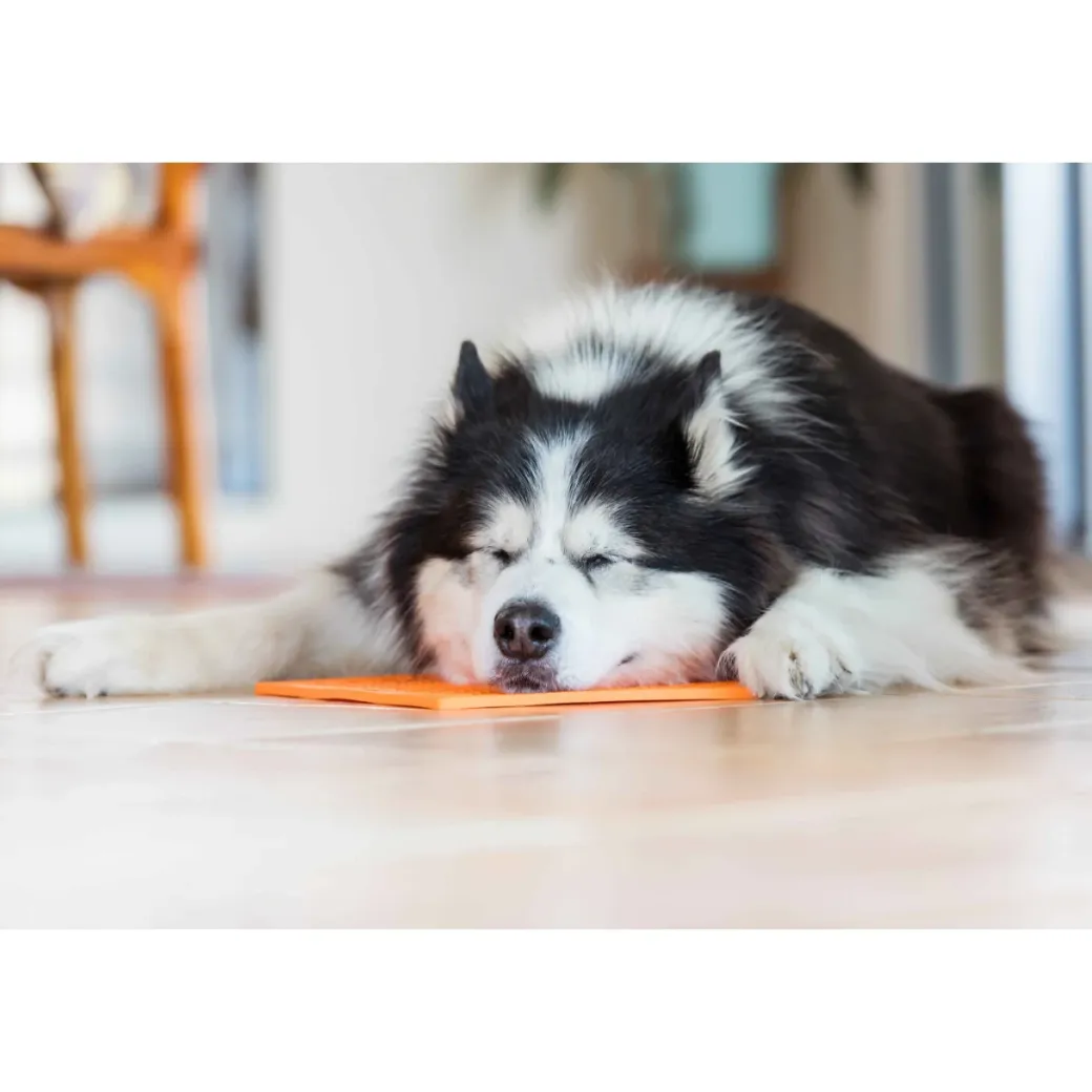 LickiMat Slikkemåtte 20 x 20 cm Orange - aktiveringsmåtte til hunde