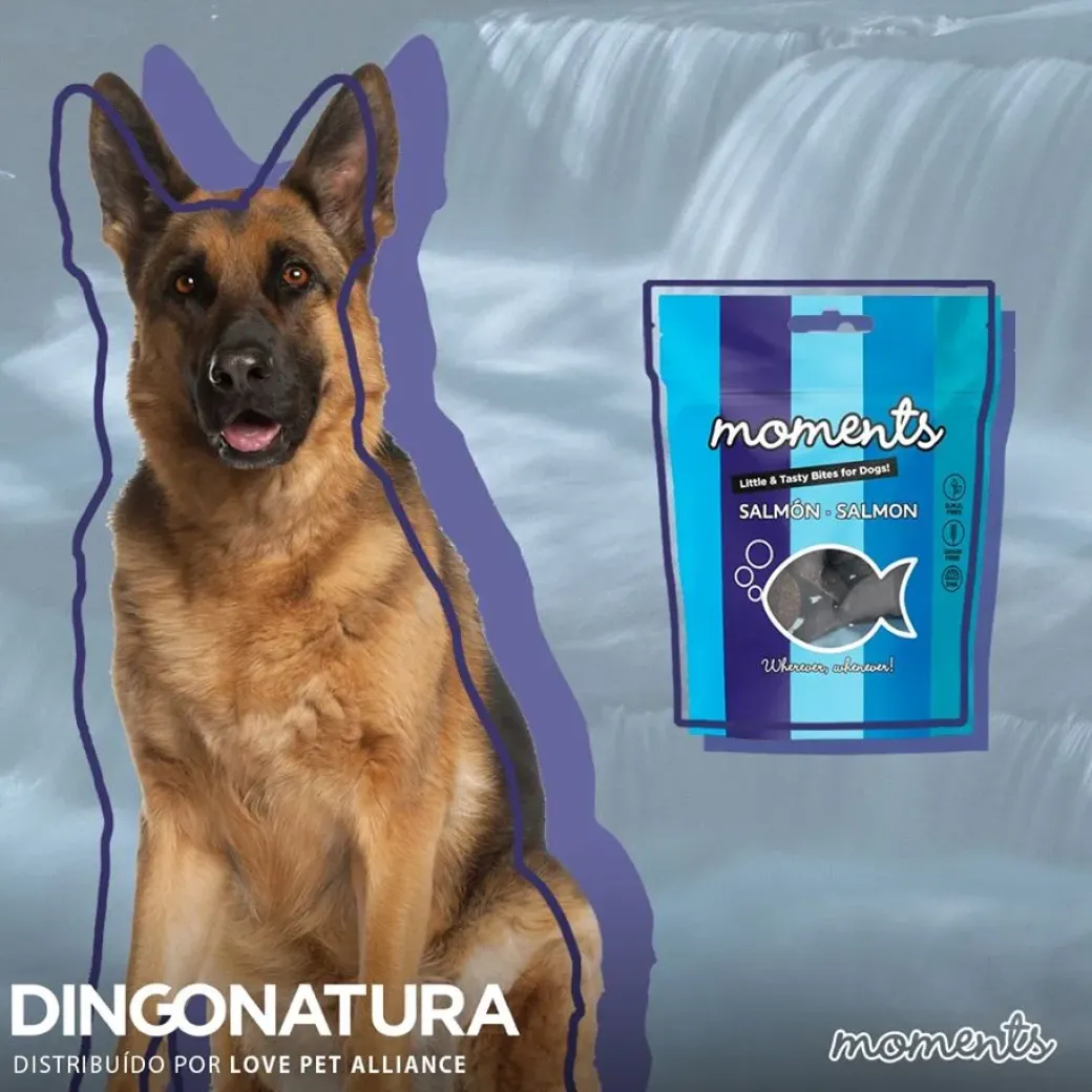 Moments hundesnack Laks 60 g - fuldfoder hundesnacks