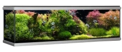 MOVE akvarium 720 liter Sort