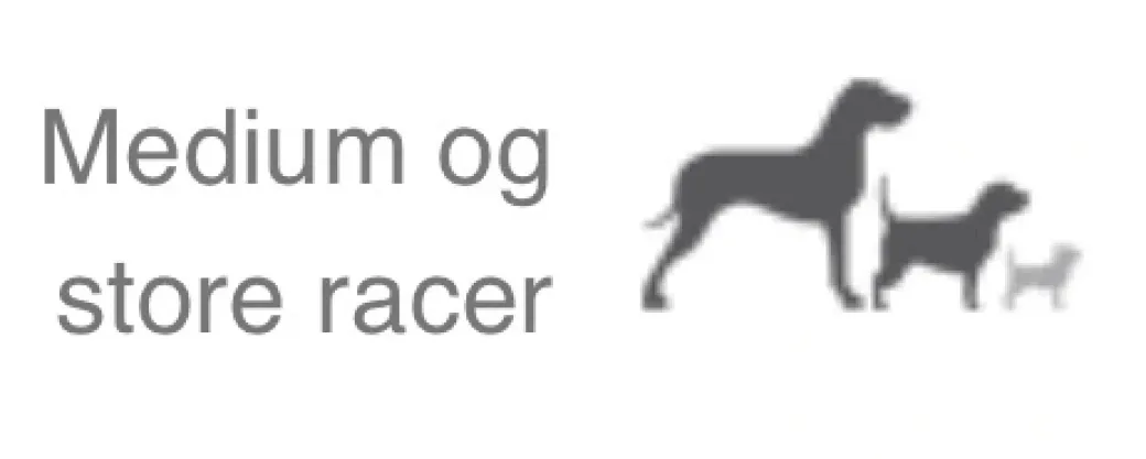 Natura Diet Daily hundefoder 3 kg - Naturligt tørfoder med kylling og ris