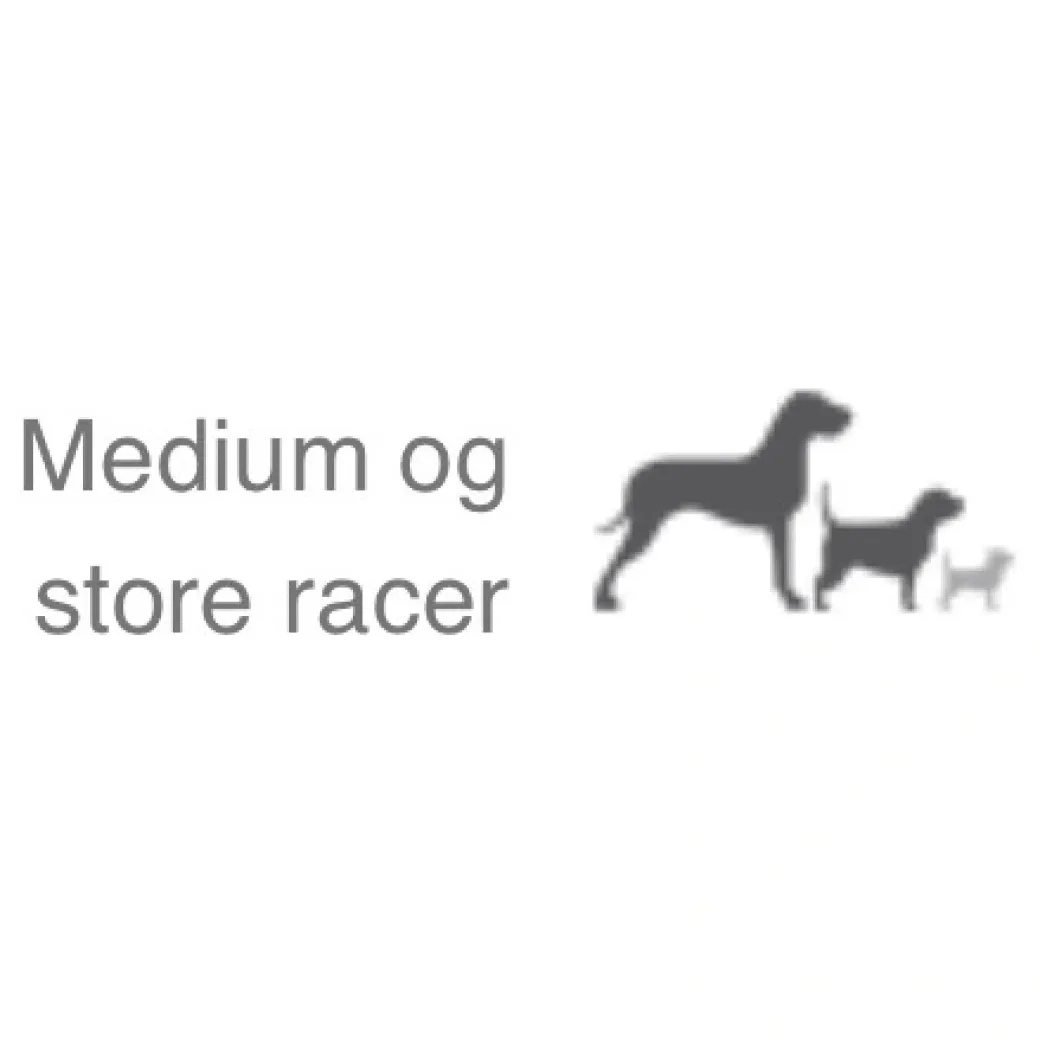 Natura Diet Fisk og Ris hundefoder 3 kg - Naturlig ernæring til hunde