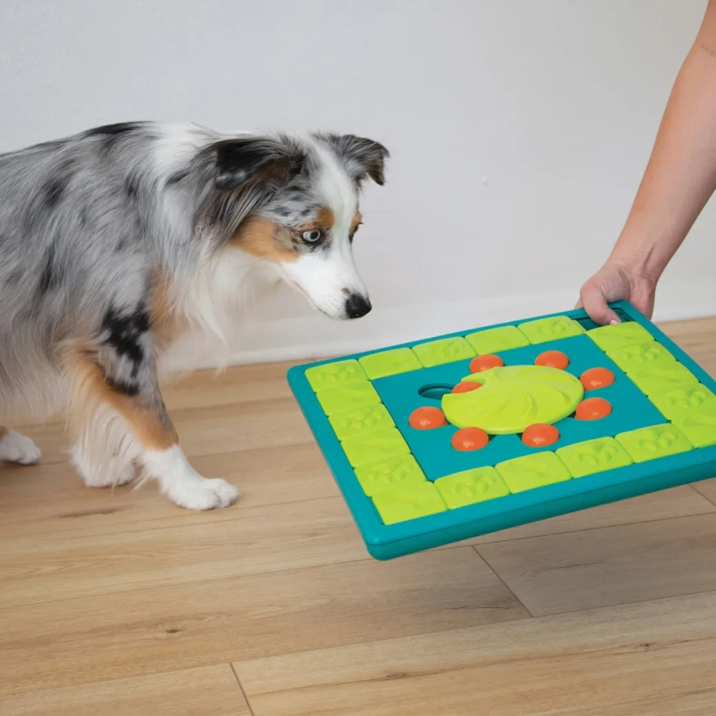 Nina Ottosson Multipuzzle Niveau 4 - udfordrende aktivitetslegetøj til hunde