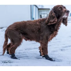 Ozami hundesokker L sort - bløde sokker til store hundepoter