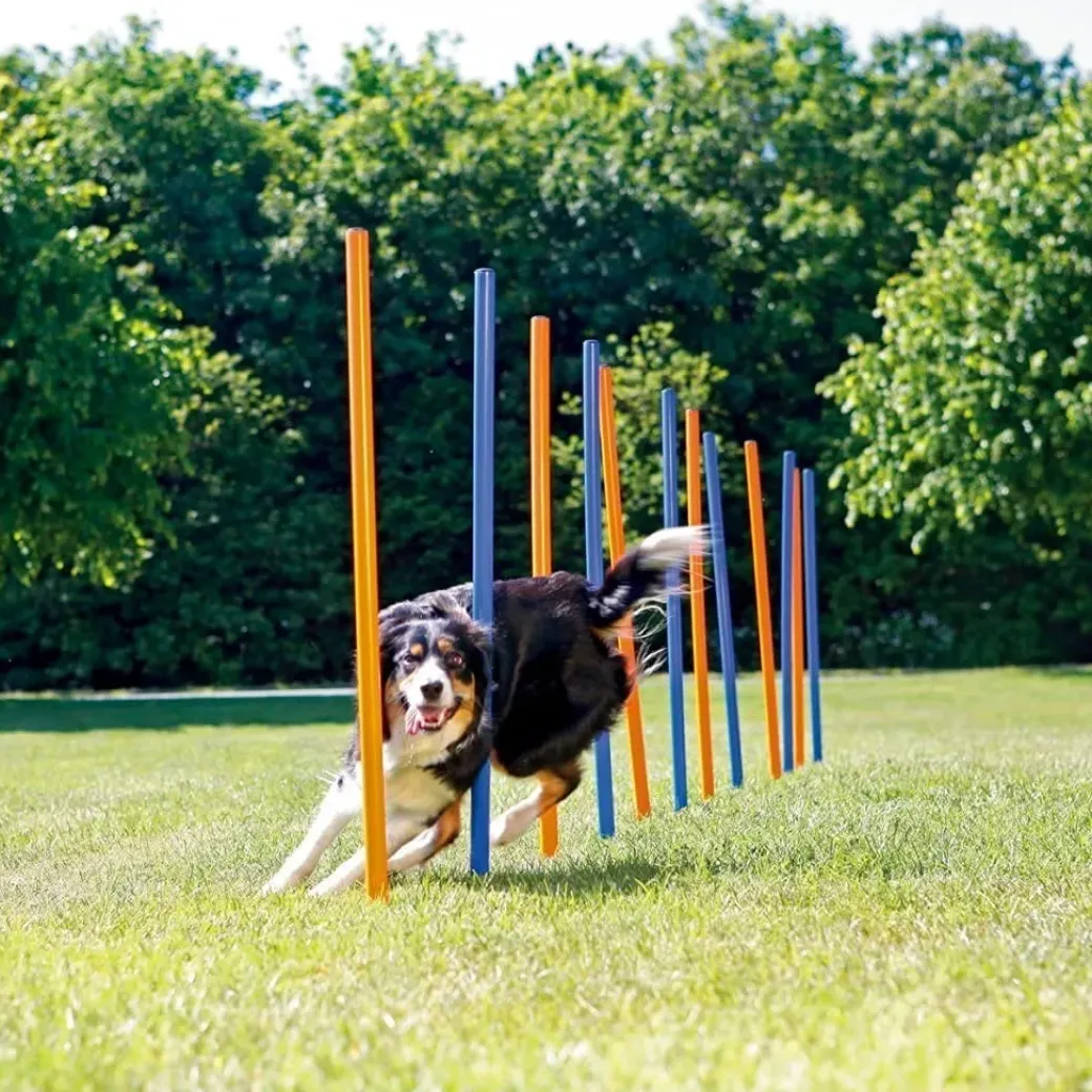 Pawise Hunde Agility Slalom 12 stk pæle - sjov hundetræning