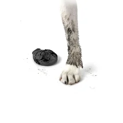 Pawz hundesko X-Small sort 5,1 cm