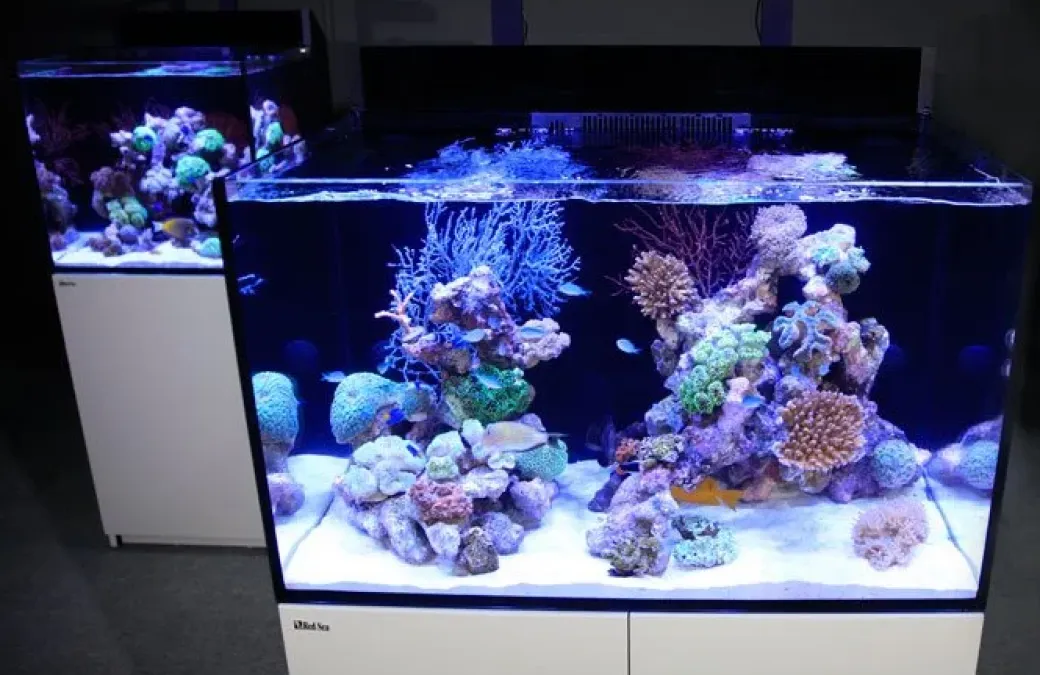 Red Sea Akvarium Max E-260 Hvid