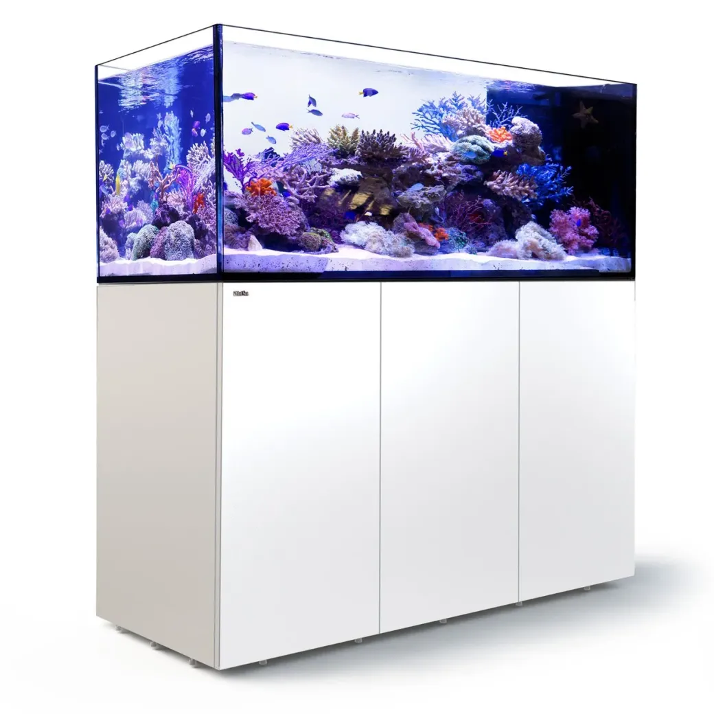 Red Sea Akvarium sæt Peninsula P650 Hvid