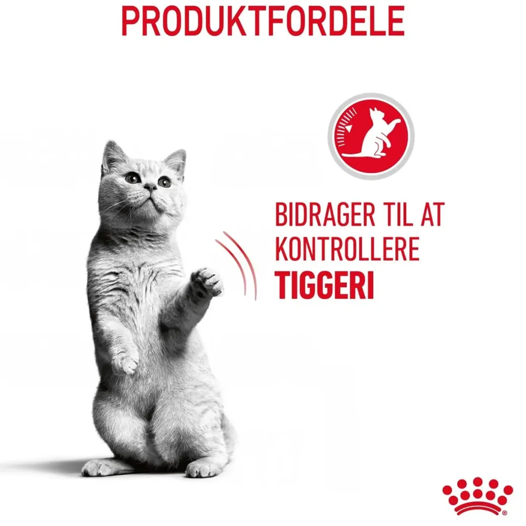 Royal Canin Appetite Control Care Sterilised 10 kg