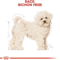 Royal Canin Bichon Frise Adult 1,5 kg - tørfoder til voksne hunde