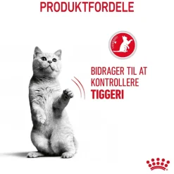 Royal Canin Care Appetite Control 2 kg