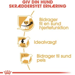 Royal Canin Cavalier King Charles Adult 1,5 kg - tørfoder til små hunde