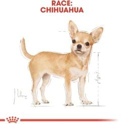 Royal Canin Chihuahua Adult 1,5 kg - tørfoder til små hunde