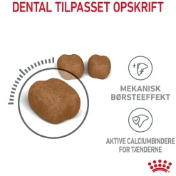 Royal Canin Dental Care 8 kg