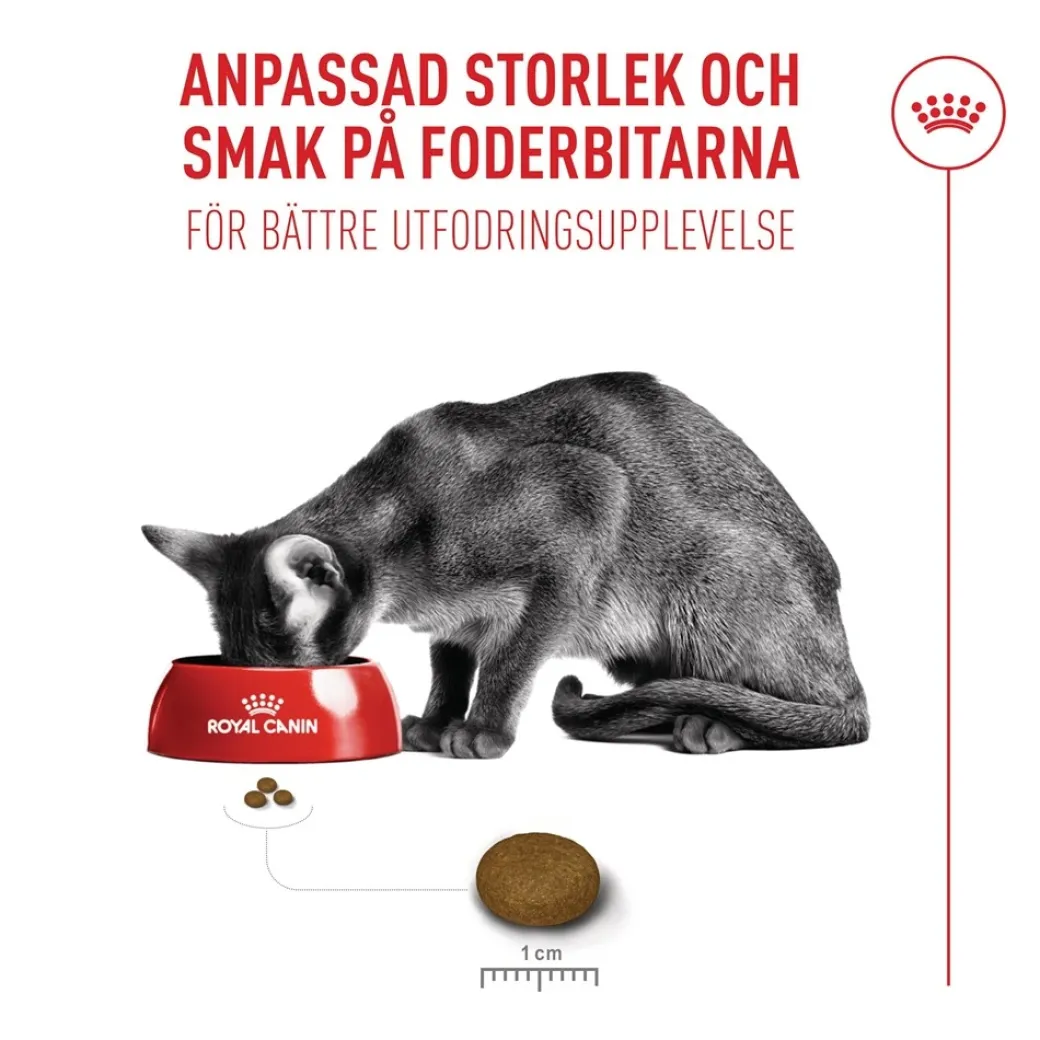 Royal Canin Exigent FHN Fussy 2 kg