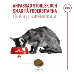 Royal Canin Exigent FHN Fussy 4 kg