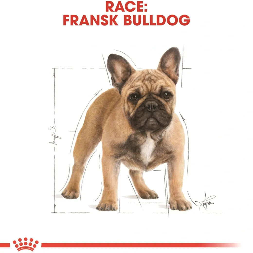 Royal Canin French Bulldog Adult 3 kg - tørfoder til voksne hunde