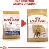 Royal Canin French Bulldog Adult 9 kg - tørfoder til voksne hunde