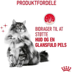 Royal Canin Hair and Skin 4 kg
